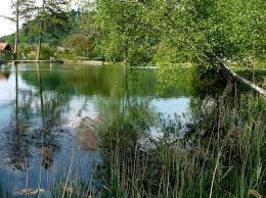 Studio Cosy Au Coeur De La Nature Gorze Zewnętrze zdjęcie